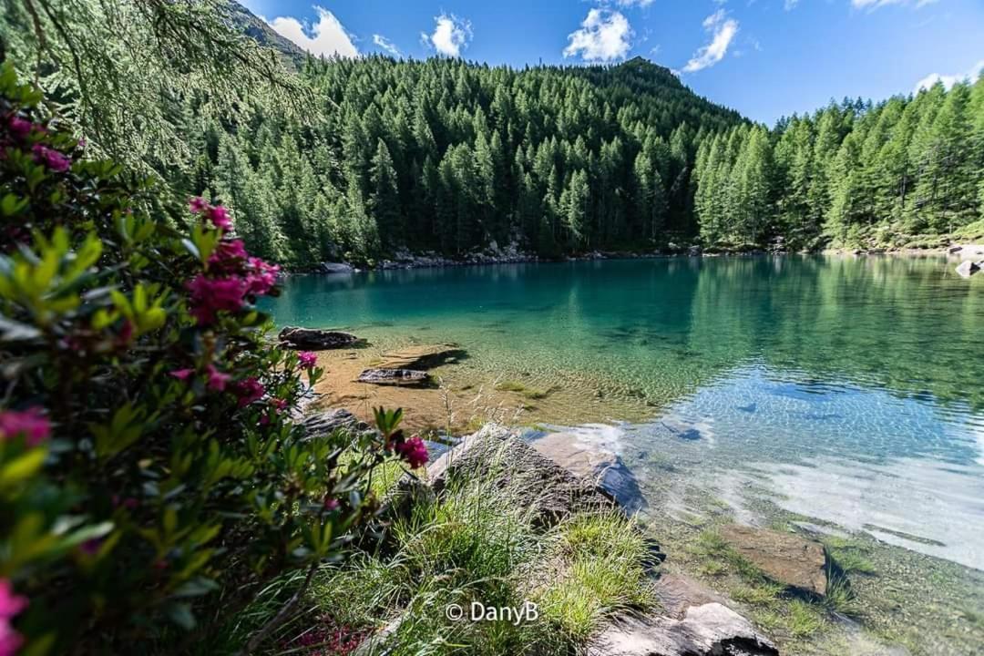 Mansarda Vista Lago A Campodolcino Dış mekan fotoğraf